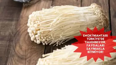 Enoki Mantarı Türkiye’de Tanınmıyor, Faydaları Saymakla Bitmiyor!