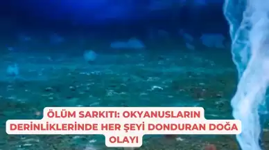 Ölüm Sarkıtı: Okyanusların Derinliklerinde Her Şeyi Donduran Doğa Olayı