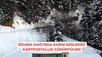 Zigana Dağı’nda Karın Süslediği Kartpostallık Görüntüler!