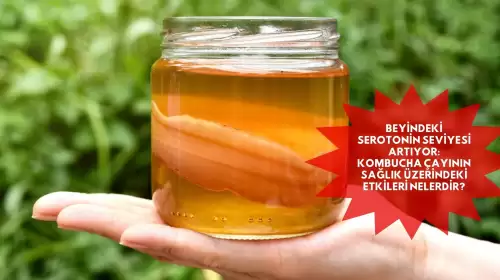 Beyindeki Serotonin Seviyesi Artıyor: Kombucha Çayının Sağlık Üzerindeki Etkileri Nelerdir?