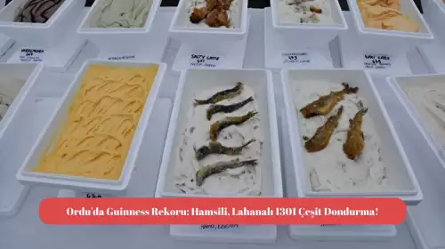 Ordu'da Guinness Rekoru: Hamsili, Lahanalı 1301 Çeşit Dondurma!