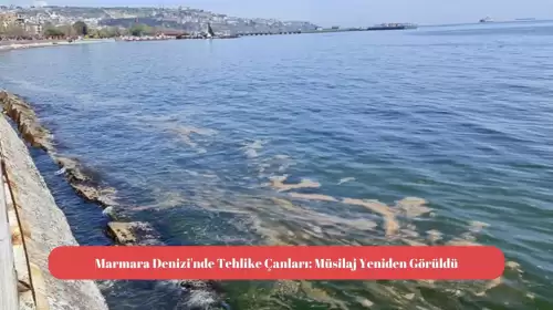 Marmara Denizi'nde Tehlike Çanları: Müsilaj Yeniden Görüldü