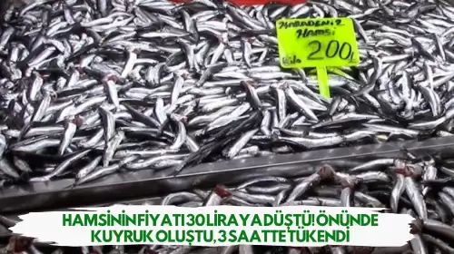 Hamsinin Fiyatı 30 Liraya Düştü! Önünde Kuyruk Oluştu, 3 Saatte Tükendi