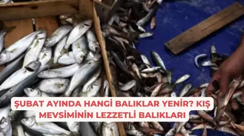 Şubat Ayında Hangi Balıklar Yenir? Kış Mevsiminin Lezzetli Balıkları