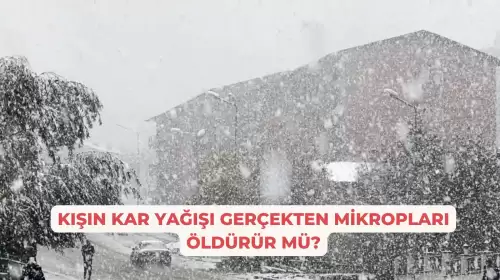 Kışın Kar Yağışı Gerçekten Mikropları Öldürür Mü?