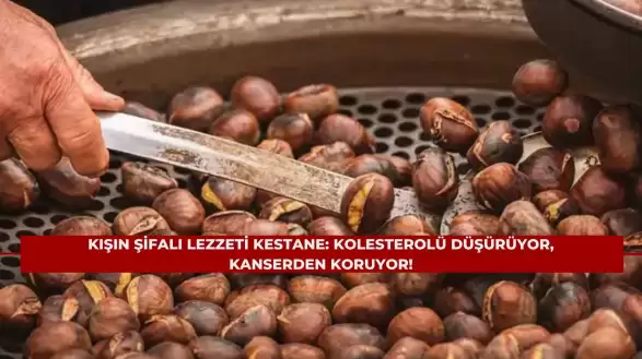 Kışın Şifalı Lezzeti Kestane: Kolesterolü Düşürüyor, Kanserden Koruyor!