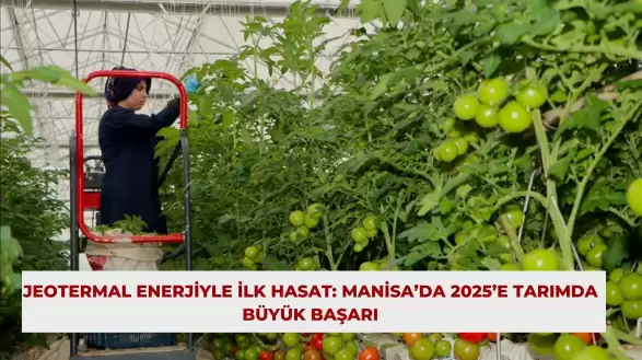 Jeotermal Enerjiyle İlk Hasat: Manisa’da 2025’e Tarımda Büyük Başarı