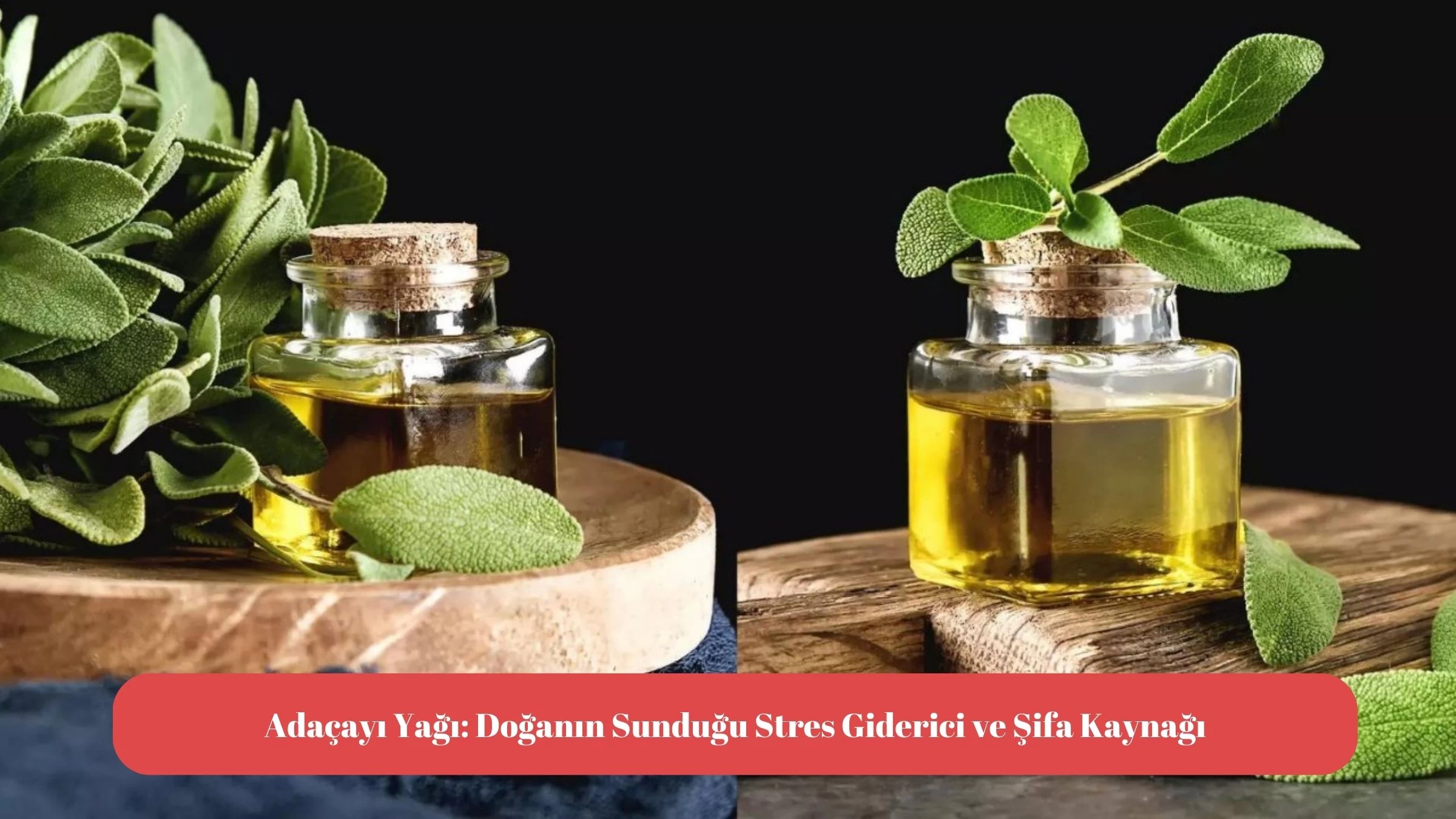 Adaçayı Yağı: Doğanın Sunduğu Stres Giderici ve Şifa Kaynağı