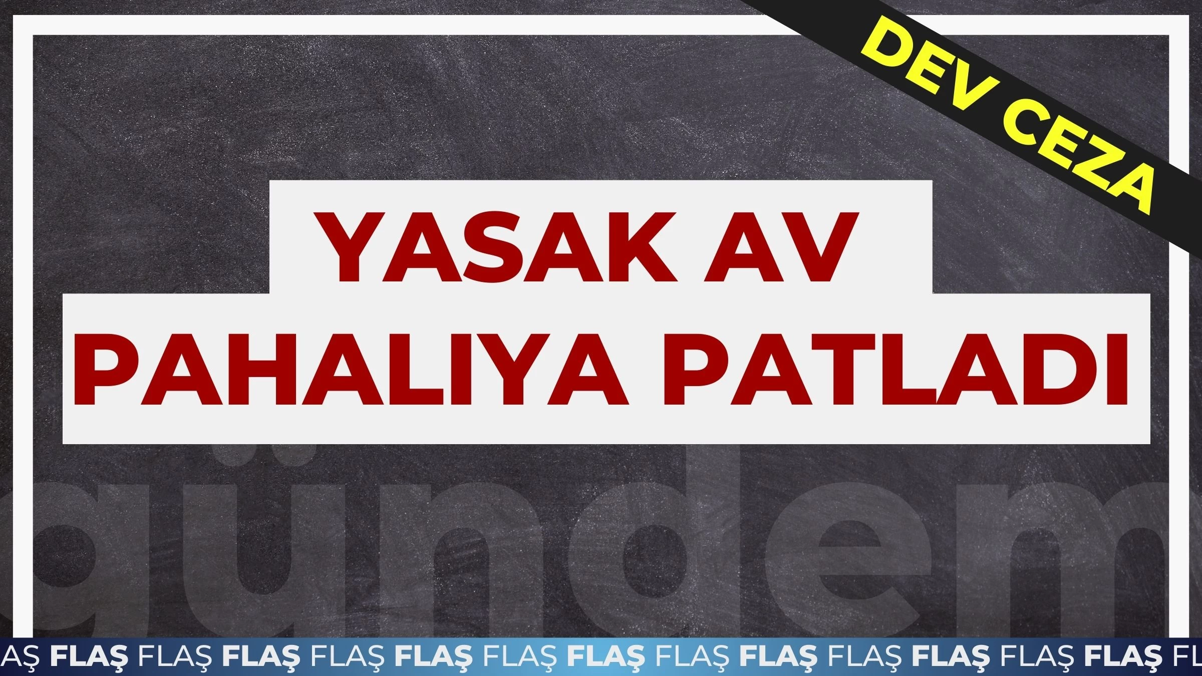 Av Onlara Pahalıya Patladı: 1 Milyon Liralık Şok Ceza!