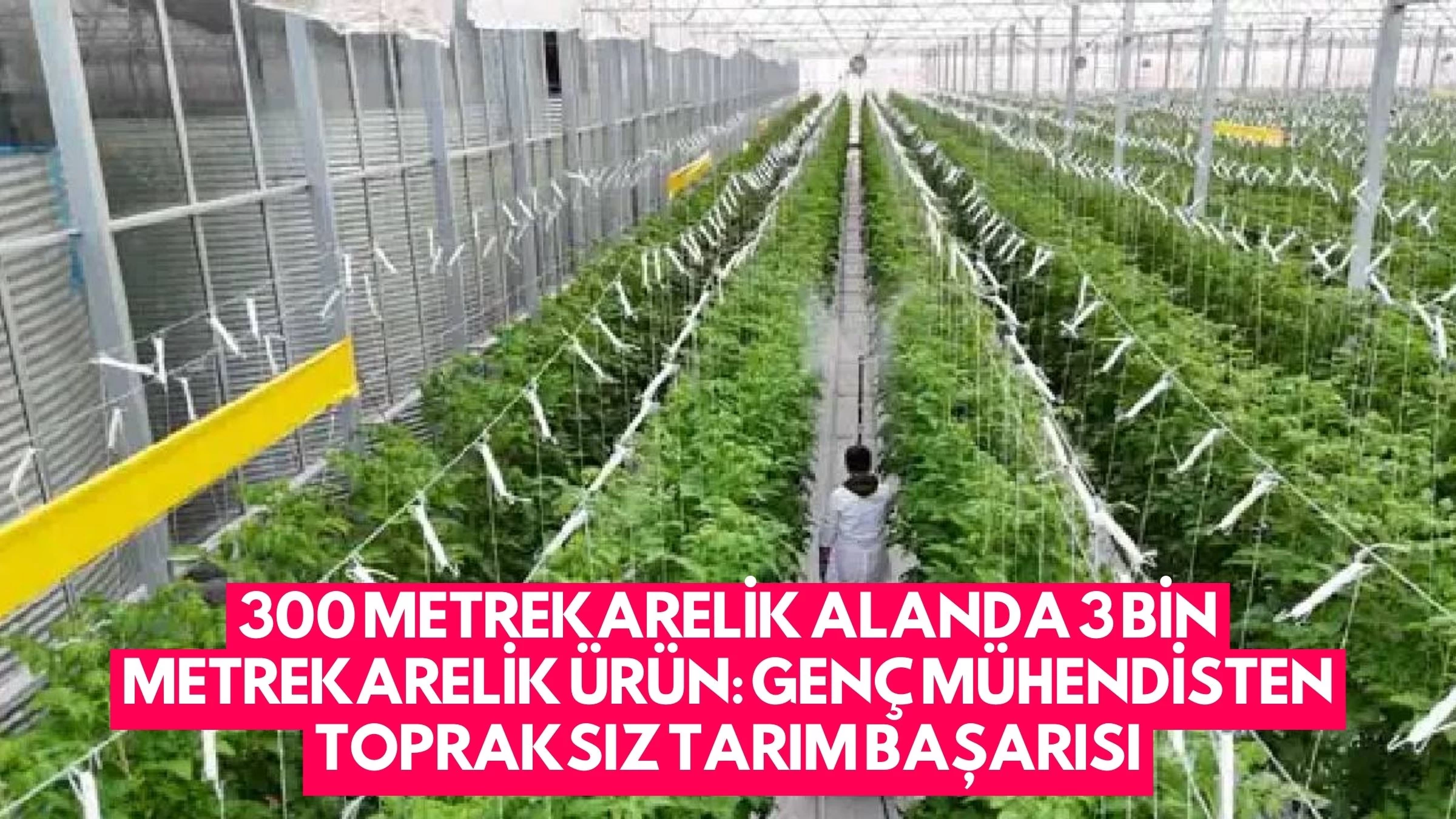 300 Metrekarelik Alanda 3 Bin Metrekarelik Ürün: Genç Mühendisten Topraksız Tarım Başarısı