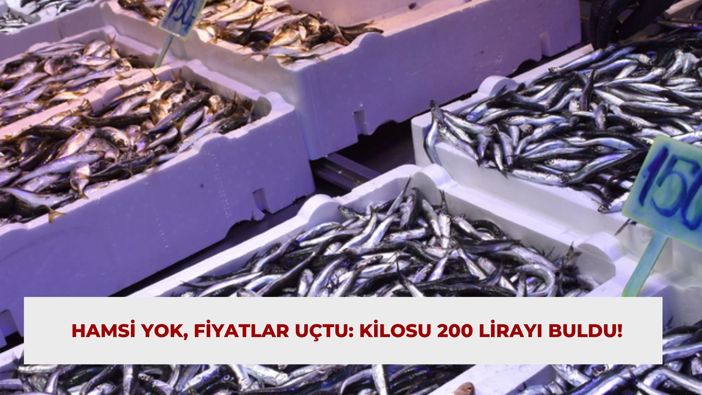 Hamsi Yok, Fiyatlar Uçtu: Kilosu 200 Lirayı Buldu!