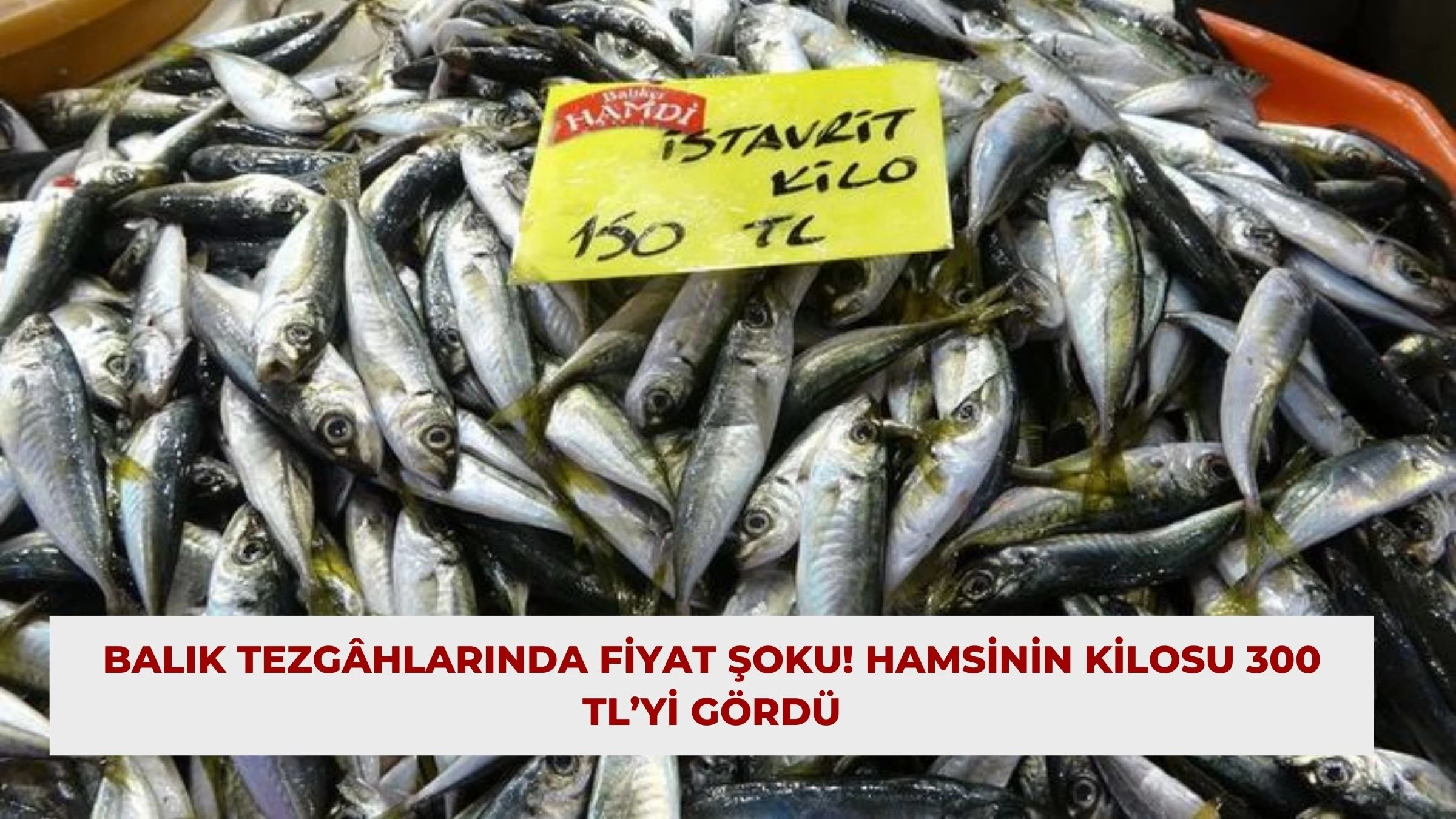 Balık Tezgâhlarında Fiyat Şoku! Hamsinin Kilosu 300 TL’yi Gördü