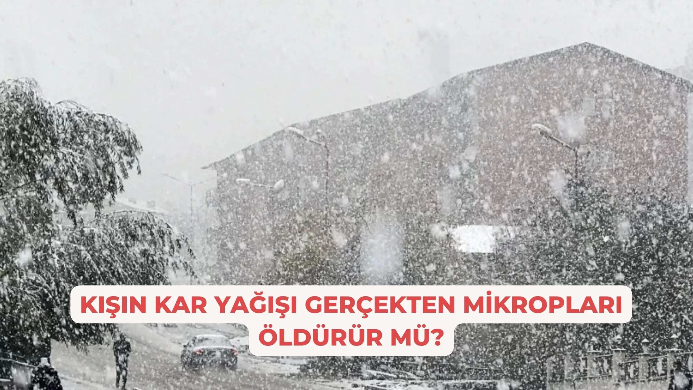 Kışın Kar Yağışı Gerçekten Mikropları Öldürür Mü?