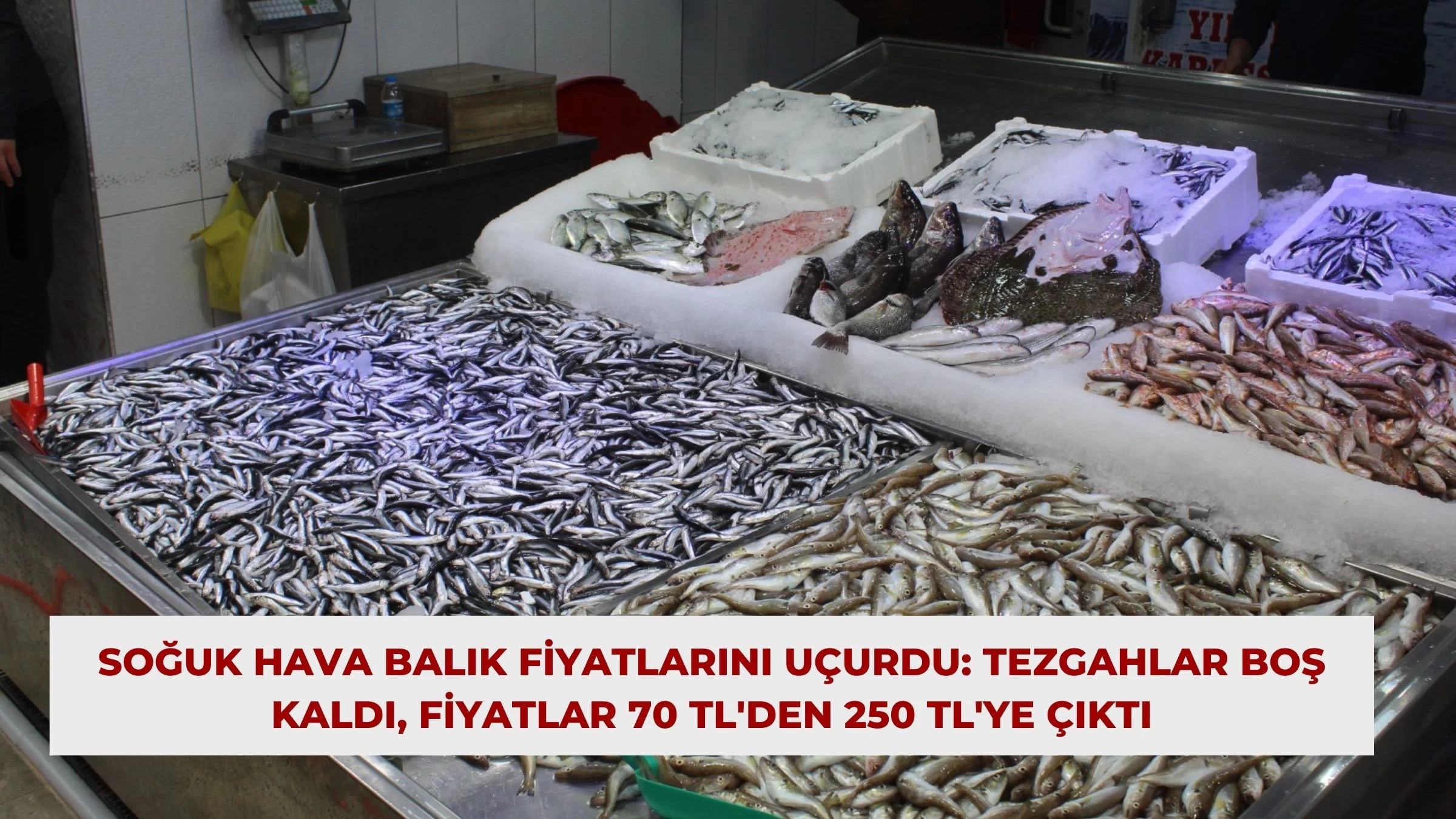 Soğuk Hava Balık Fiyatlarını Uçurdu: Tezgahlar Boş Kaldı, Fiyatlar 70 TL'den 250 TL'ye Çıktı