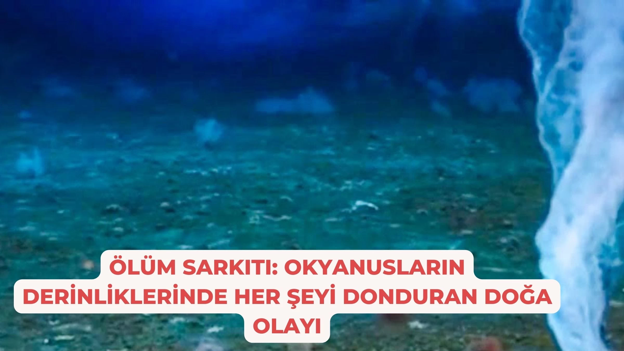 Ölüm Sarkıtı: Okyanusların Derinliklerinde Her Şeyi Donduran Doğa Olayı