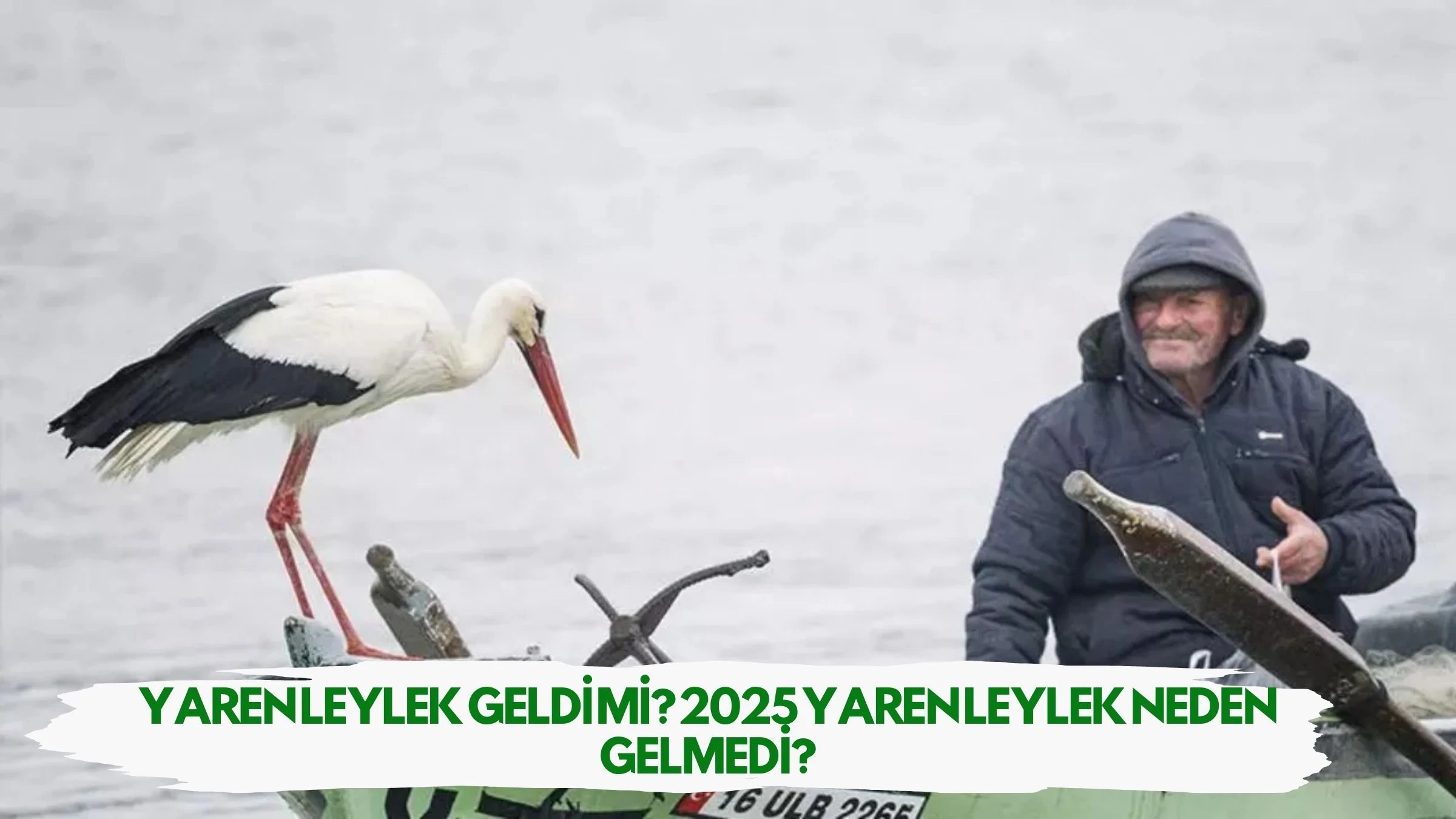 Yaren Leylek Geldi Mi? 2025 Yaren Leylek Neden Gelmedi?