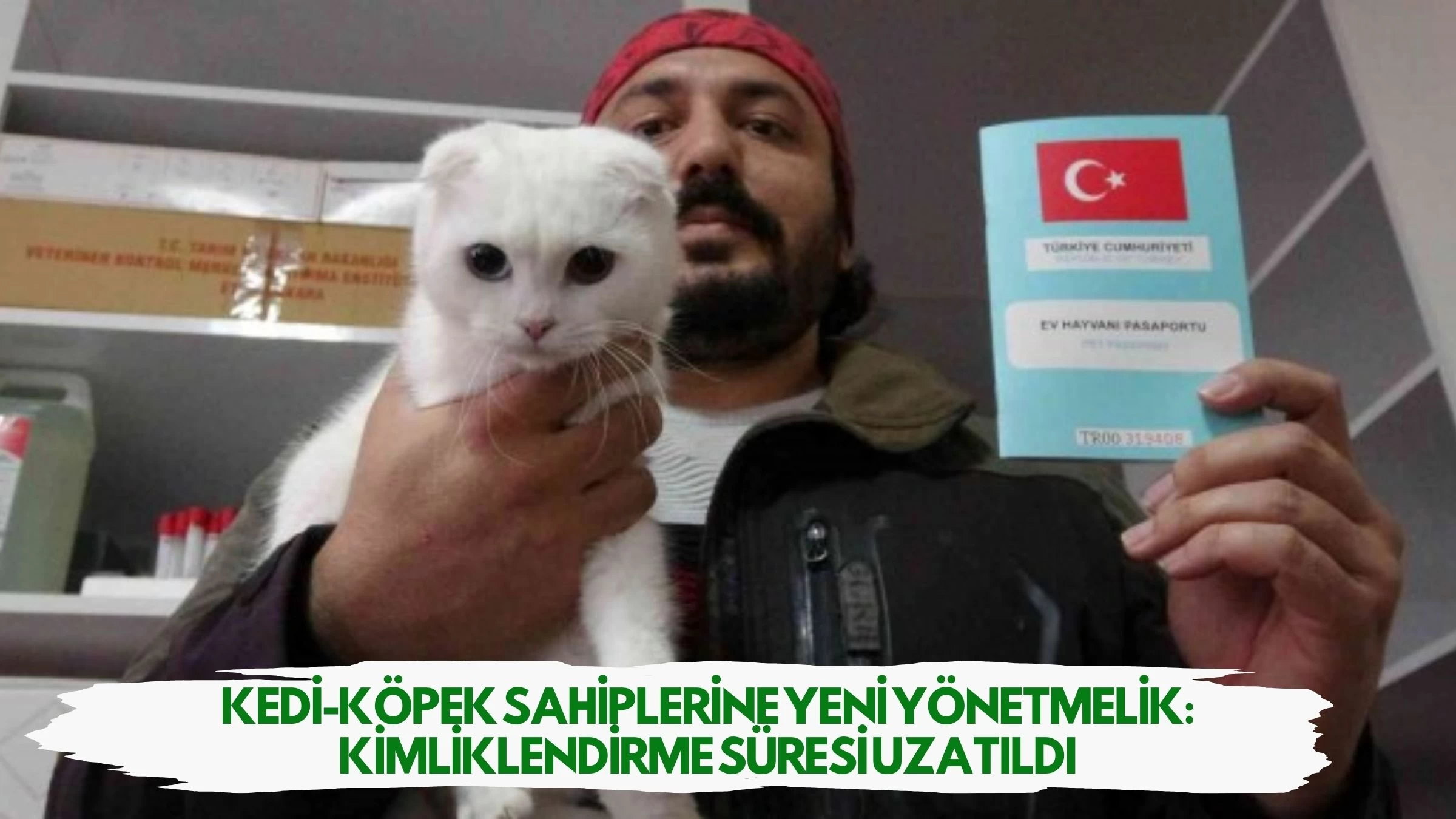 Kedi-Köpek Sahiplerine Yeni Yönetmelik: Kimliklendirme Süresi Uzatıldı